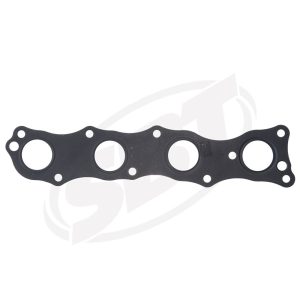 Exhaust Gaskets